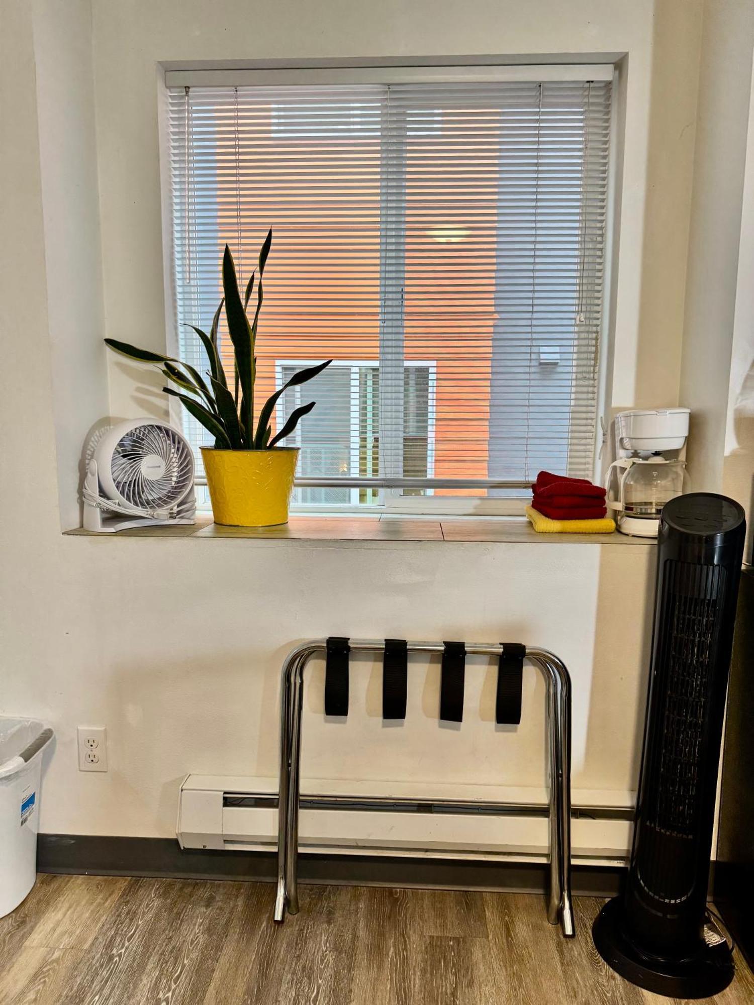 Micro Studio Apartment 10 Minutes Walk To University Of Washington Seattle Dış mekan fotoğraf